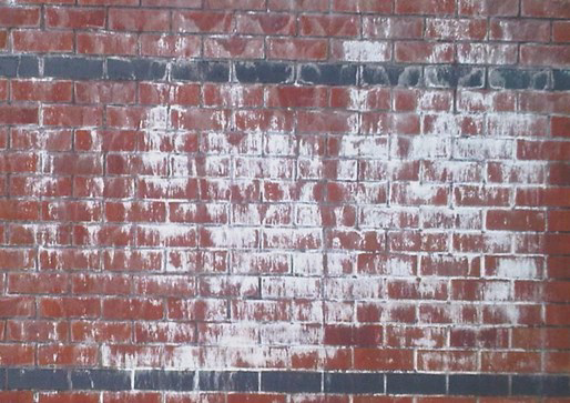 Jafep-Middle-East-rocan-pure-kleen-SN