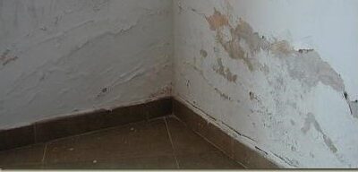 Jafep-Middle-East-pureblock-rocan