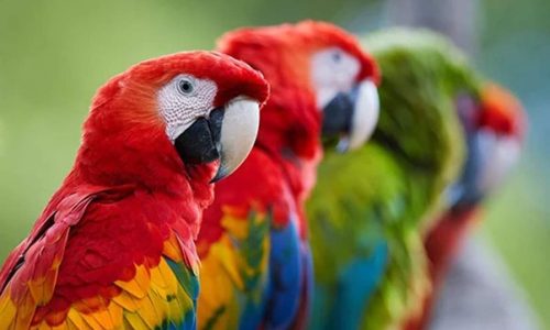 ergonplusllc-the color matters