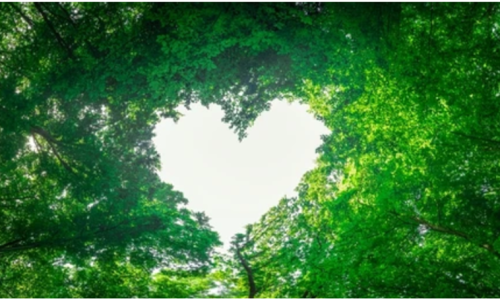 Ergonplusllc-ecological paints