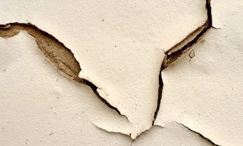 ergonplusllc-peeling walls