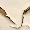ergonplusllc-peeling walls