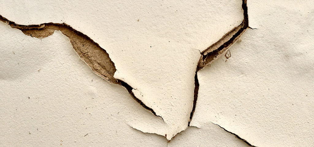 ergonplusllc-peeling walls