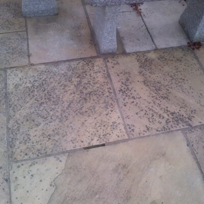 Jafep-Middle-East-purekleen-bio-rocan