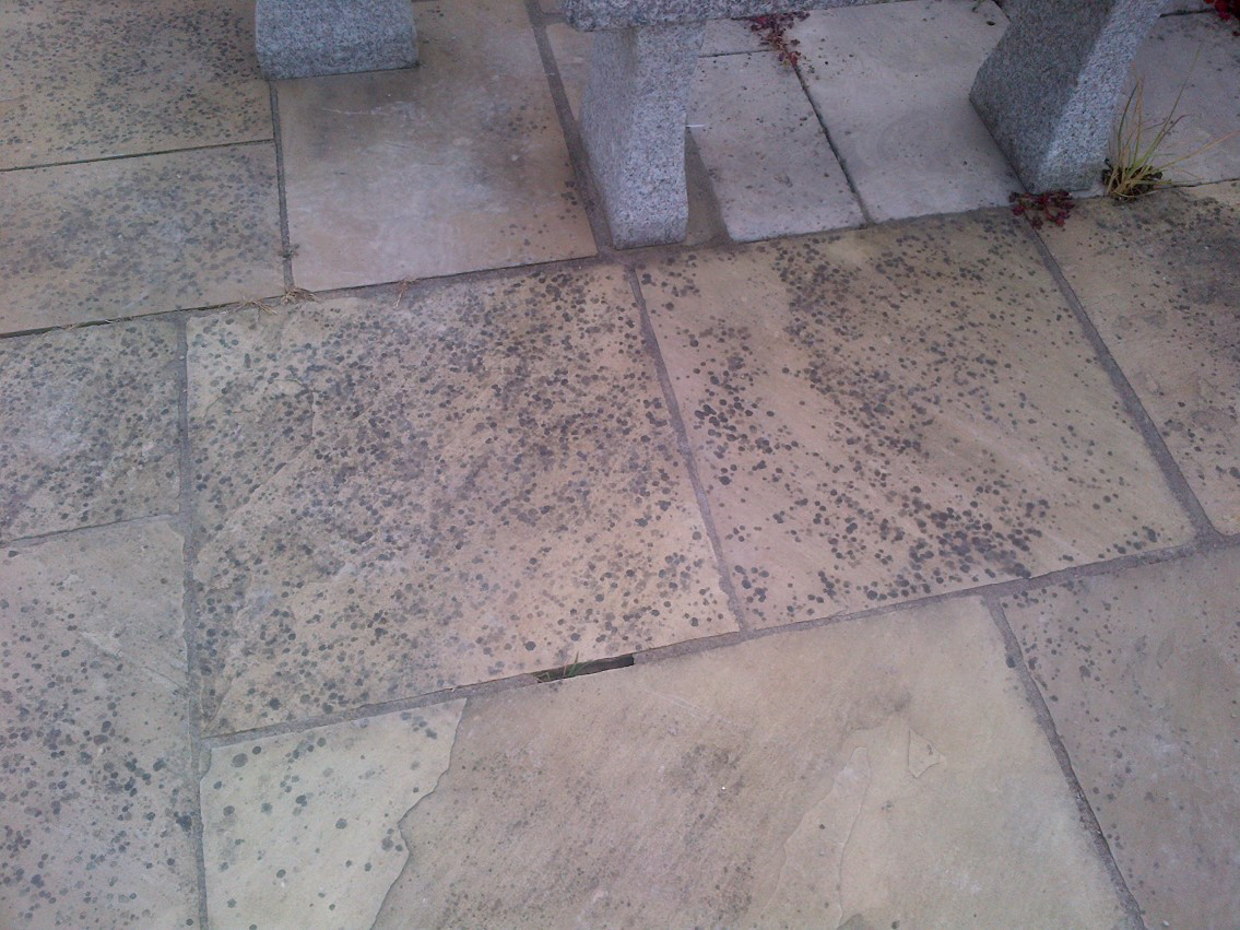 Jafep-Middle-East-purekleen-bio-rocan Jafep-Middle-East-purekleen-bio-rocan