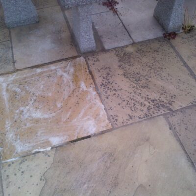 jafep-middle-east-rocan-PureKleen-RS- purescape-biological cleaner