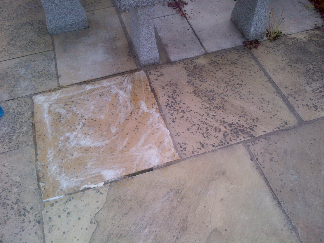 jafep-middle-east-rocan-PureKleen-RS- purescape-biological cleaner jafep-middle-east-rocan-PureKleen-RS- purescape-biological cleaner