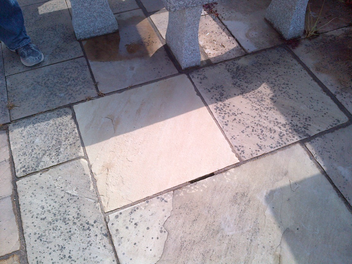 jafep-middle-east-rocan-PureKleen-RS- purescape-biological cleaner jafep-middle-east-rocan-PureKleen-RS- purescape-biological cleaner